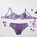 ست سوتین و شورت زیر فنردار برند انوشه 