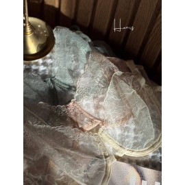 ست شورت وسوتین زیر فنر تور اروپایی برند هانیس